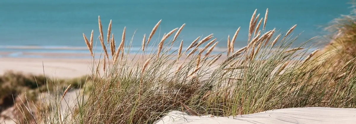 Tips om de zomer ontspannen door te komen