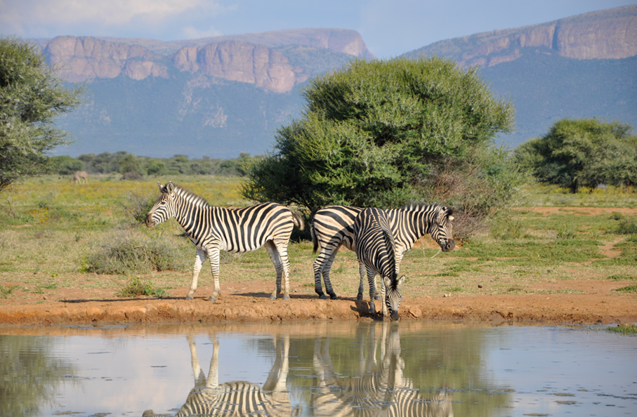 leadership-trail-zuid-afrika