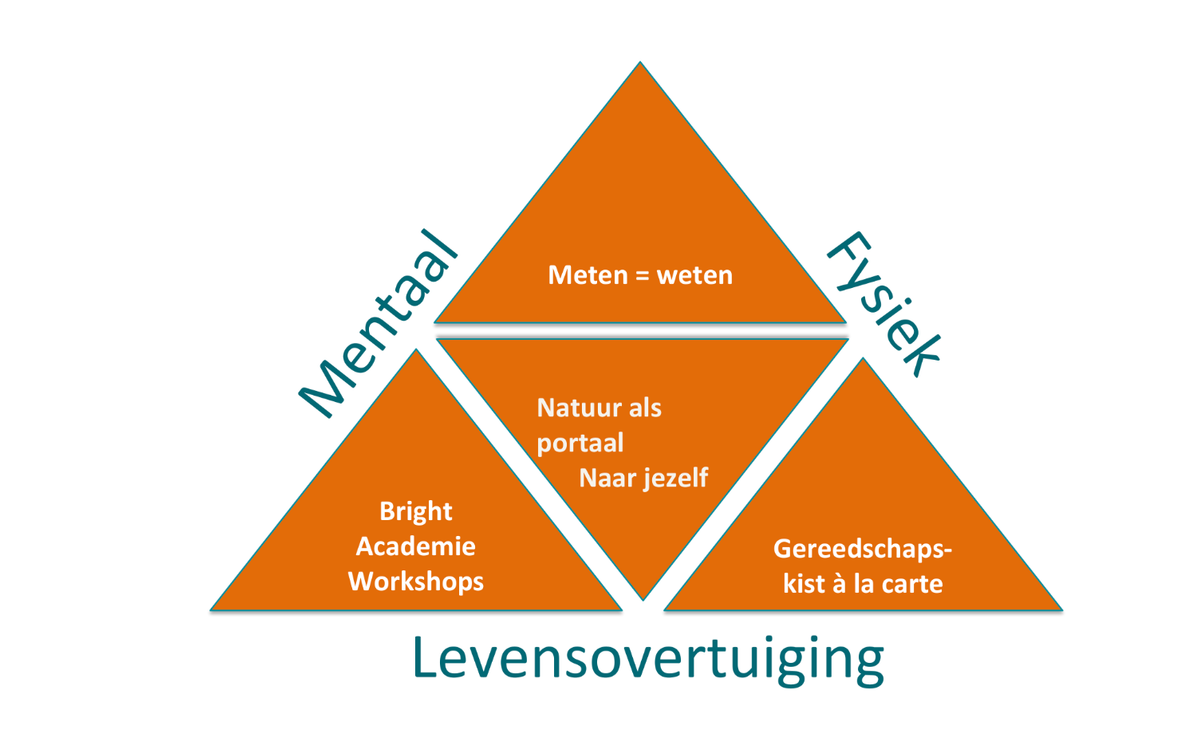 Vitaliteit à la Carte: De Driehoek van Bright Group